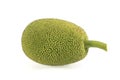 Green jack fruit on white background