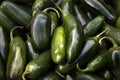 Green Jalapeno Chili Peppers