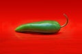 Green Jalapeno pepper on red background.