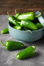 Green jalapeno peppers in a ceramic bowl on a gray background, close-up. Vertical Royalty Free Stock Photo