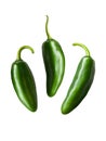 Green Jalapeno Peppers Illustration