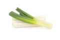 Green Japanese Bunching Onion Royalty Free Stock Photo