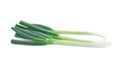 Green Japanese Bunching Onion isolated on white