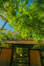 Green Japanese garden Royalty Free Stock Photo