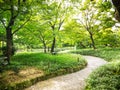 Green japanese park Royalty Free Stock Photo
