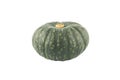 Green Japanese Pumpkin