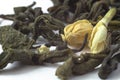 Green jasmine tea macro Royalty Free Stock Photo