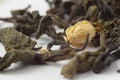 Green jasmine tea macro Royalty Free Stock Photo