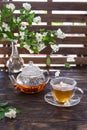 Green jasmine tea in transparent cup with hot steam and jasmine flowers and teapot on wooden table. Copy space. Food levitation Royalty Free Stock Photo