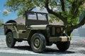 Green jeep is parked in front of a tree Royalty Free Stock Photo
