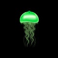 Green jellyfish on a black background. Vector Royalty Free Stock Photo