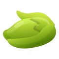 Green jojoba icon, cartoon style