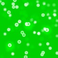 Green juice and small bubbles, abstract background Royalty Free Stock Photo