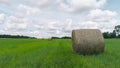 Green juicy fields with haystacks. Shot. Beautiful twisted haystacks on cleared green field on background cloudy sky