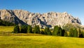 Green juicy grass on meadow, fenced with wooden fence in area Mont-de-Fornel, Dolomites. Royalty Free Stock Photo