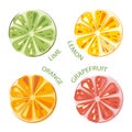 Green Juicy Lime, Lemon, Sunny Juicy Oranges, Grapefruit Set of whole and Cut Fruits. Colorful Citrus Fruits. Royalty Free Stock Photo