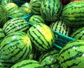 Green ripe watermelons on sale in crates supermarket detail Royalty Free Stock Photo