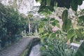 Green jungle on Bali island, Indonesia. Tropical rainforest scene. Royalty Free Stock Photo