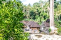 Green jungle on Bali island, Indonesia. Tropical rainforest scene. Royalty Free Stock Photo
