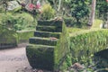 Green jungle on Bali island, Indonesia. Tropical rainforest scene. Royalty Free Stock Photo