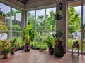 Green jungle terrase full of plants with dog and surrounded with glass windows Royalty Free Stock Photo