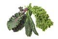 Green kale leaves isolated on white Royalty Free Stock Photo