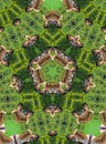 Green kaleidoscope Royalty Free Stock Photo