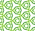 Green kaleidoscope seamless pattern. Hand drawn wa