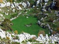 Green karst pastures in the Velebit plateaus, Croatia Zeleni krski pasnjaci na velebitskim visoravnima, Hrvatska Royalty Free Stock Photo