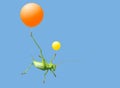Green katydid and airballoon Royalty Free Stock Photo