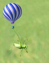 Green katydid and fire balloon Royalty Free Stock Photo