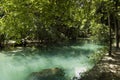 Green Kawasan river and foliage