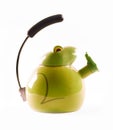Green kettle frog