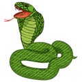 Green king cobra with fangs. vector illustration Royalty Free Stock Photo