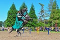 Green knight on a horse Royalty Free Stock Photo