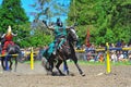 Green knight looses his mount