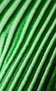 Green knit fabrik close-up texture Royalty Free Stock Photo