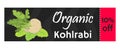 Green kohlrabi coupon, vaucher, template. Type of cabbage. Vector illustration