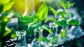 Green Lab Samples of Plants in Testing Tubes for Innovative Agrotech Study Royalty Free Stock Photo