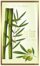 Green label of bamboo and olive Royalty Free Stock Photo