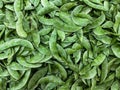 Green Lablab beans. Hyacinth bean, Bonavist pea, Dolichos, Sem bean, Egyptian kidney bean, Bataw Royalty Free Stock Photo