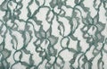 Green Lace on White Spandex Royalty Free Stock Photo