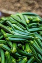 Green Ladies finger on the market - Okra, Abelmoschus esculentus, known in many countries as ladies` fingers or ochro. The Royalty Free Stock Photo