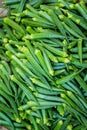 Green Ladies finger on the vegetable market - Okra, Abelmoschus esculentus, known in many countries as ladies` fingers or ochro. Royalty Free Stock Photo