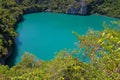 Green Lagoon Royalty Free Stock Photo