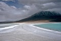 Green lagoon in Bolivia,Bolivia Royalty Free Stock Photo
