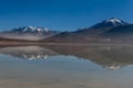 Green Lagoon, Laguna verde, Bolivia Royalty Free Stock Photo