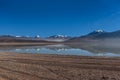 Green Lagoon, Laguna verde, Bolivia Royalty Free Stock Photo