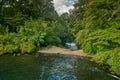 Green Lagoon at Llanguihue lake and Osorno Volcano, Puerto Varas, Chile, South America. Royalty Free Stock Photo