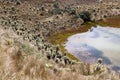 Green lagoons at the foot of the Chiles volcano